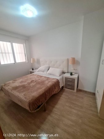 Apartamento en alquiler en Torrevieja (Alicante)