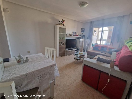 Piso en venta en Torrevieja (Alicante)