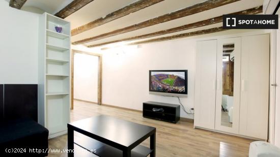 Apartamento de 1 dormitorio en alquiler en Ciutat Vella - BARCELONA