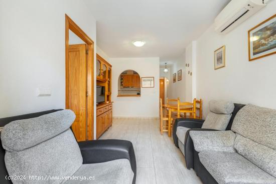 GRAN APARTAMENTO EN TORREVIEJA, 2 HAB, 1 BAÑO - ALICANTE