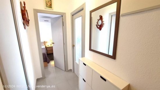 Apartamento en venta en Torrevieja (Alicante)