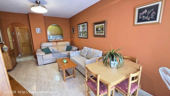 Apartamento en venta en Torrevieja (Alicante)