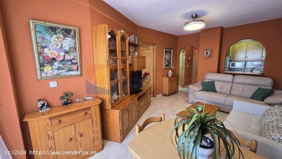 Apartamento en venta en Torrevieja (Alicante)