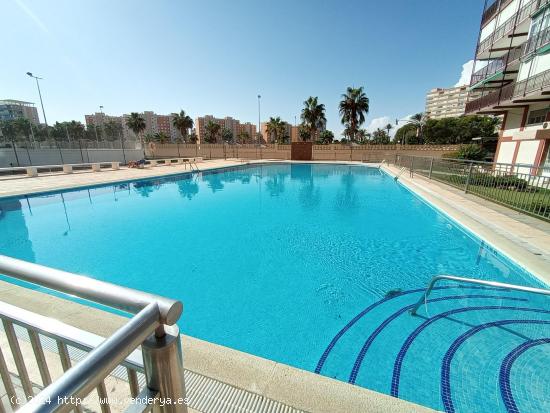 ¡Descubre la experiencia de vivir frente al mar con este espectacular piso en venta! - ALICANTE