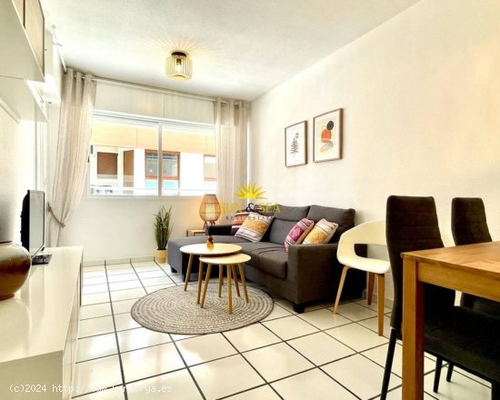 Apartamento en alquiler en Torrevieja (Alicante)