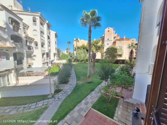  Apartamento en alquiler en Torrevieja (Alicante) 