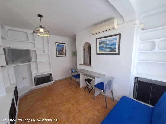 Apartamento en alquiler en Torrevieja (Alicante)