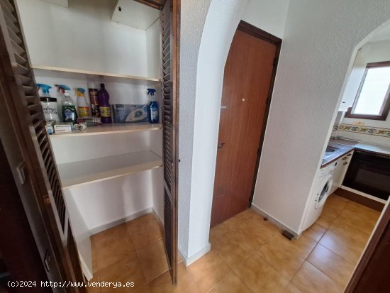 Apartamento en alquiler en Torrevieja (Alicante)