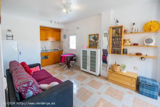 Apartamento en alquiler en Torrevieja (Alicante)