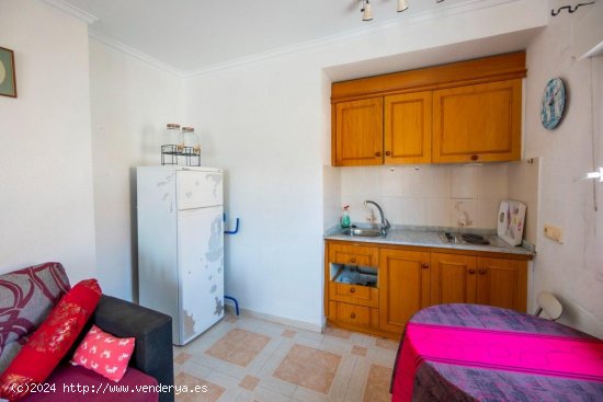 Apartamento en alquiler en Torrevieja (Alicante)