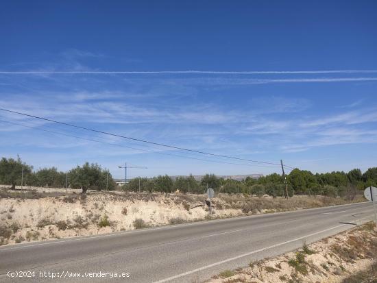 PARCELA DE 16.000 M2 CON UNA UBICACION PRIVILIAGIADA - ALBACETE