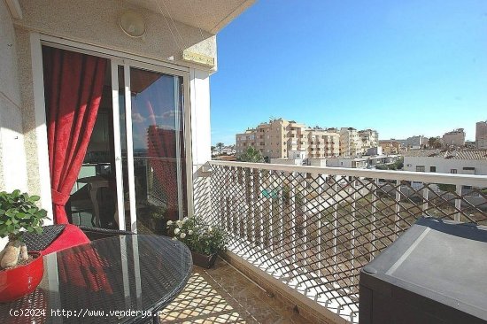 Apartamento en venta en Torrevieja (Alicante)