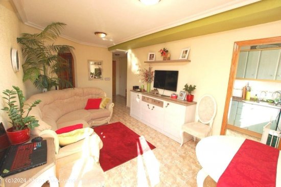 Apartamento en venta en Torrevieja (Alicante)