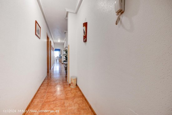 Apartamento en venta en Torrevieja (Alicante)