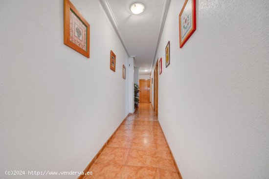 Apartamento en venta en Torrevieja (Alicante)