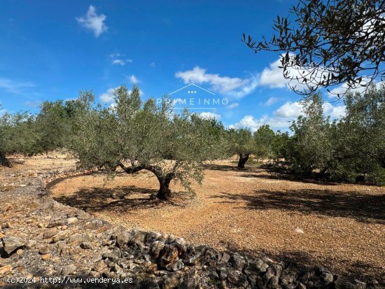 Finca en venta en El Perelló (Tarragona)