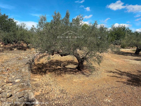 Finca en venta en El Perelló (Tarragona)