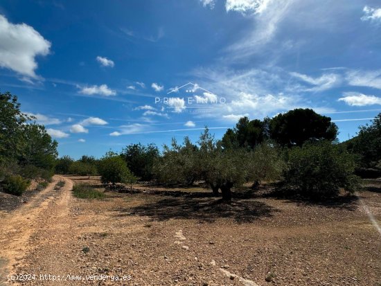 Finca en venta en El Perelló (Tarragona)