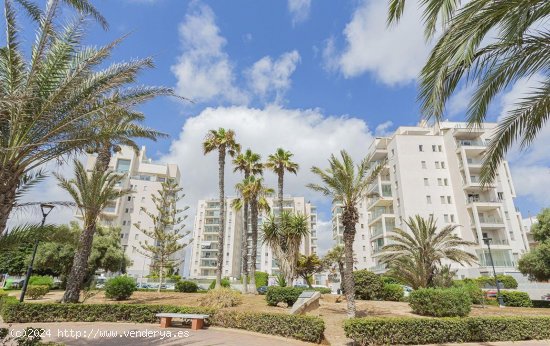 Apartamento en venta en Torrevieja (Alicante)