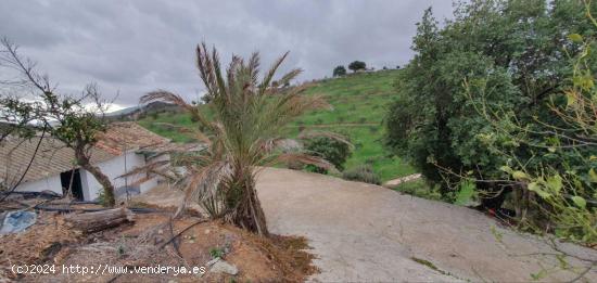 FINCA EN CÁRTAMA - MALAGA