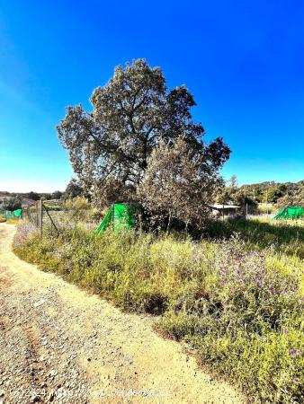 VENTA DE TERRENO EN CASTIBLANCO DE LOS ARROYOS - SEVILLA