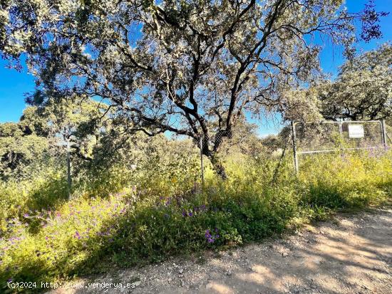 VENTA DE TERRENO EN CASTIBLANCO DE LOS ARROYOS. - SEVILLA