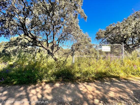 VENTA DE TERRENO EN CASTIBLANCO DE LOS ARROYOS. - SEVILLA