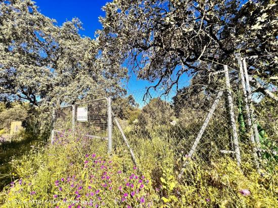 VENTA DE TERRENO EN CASTIBLANCO DE LOS ARROYOS. - SEVILLA