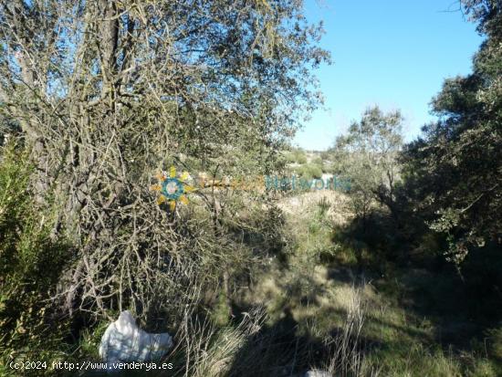 Caseta de campo a la venta en Castellón de Rugat - VALENCIA