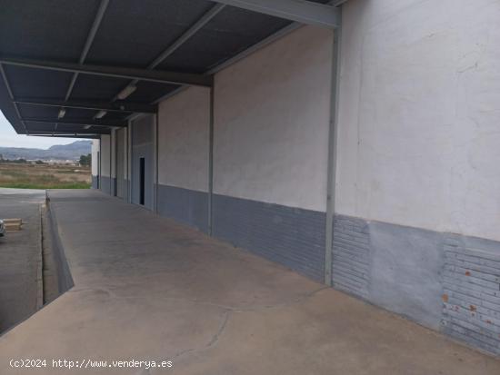 NAVE INDUSTRIAL/CAMARA FRIJOLOFERA/AMPLIA, EN BUEN ESTADO. 1.010.000€ - ALICANTE