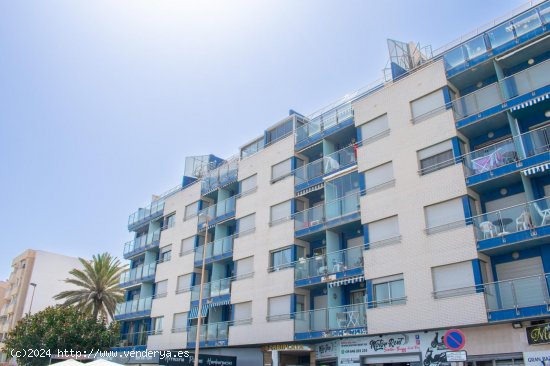 Apartamento en venta en Torrevieja (Alicante)