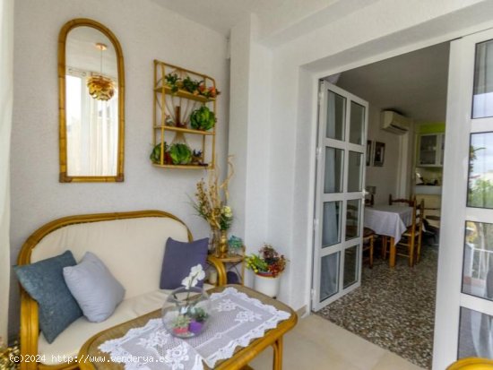 Casa en venta en Torrevieja (Alicante)