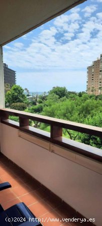  Apartamento en alquiler en Torremolinos (Málaga) 