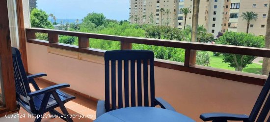 Apartamento en alquiler en Torremolinos (Málaga)