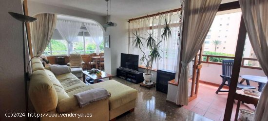 Apartamento en alquiler en Torremolinos (Málaga)