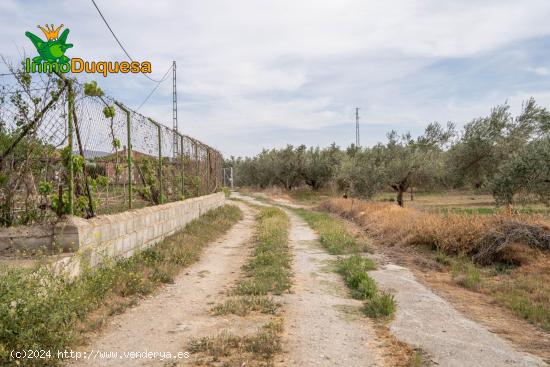 VENTA TERRENO RURAL -- CAMPO GOLF LAS GABIAS - GRANADA