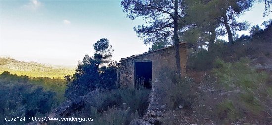 Solar en venta en Tivissa (Tarragona)