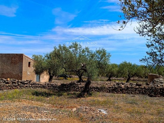 Finca en venta en El Perelló (Tarragona)