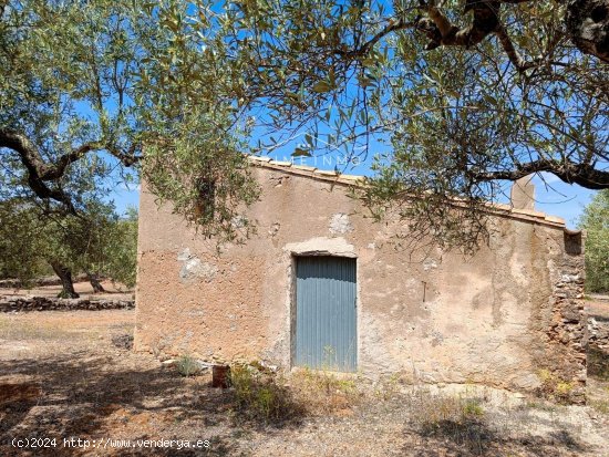 Finca en venta en El Perelló (Tarragona)