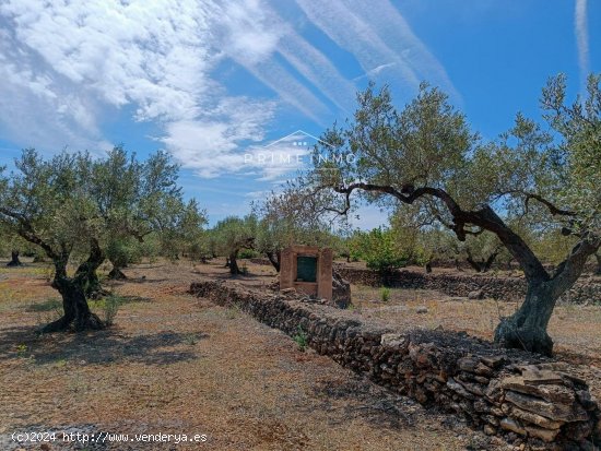 Finca en venta en El Perelló (Tarragona)