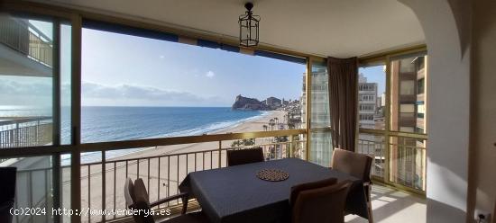  APARTAMENTO PRIMERA LINEA PLAYA  PONIENTE BENIDORM - ALICANTE 