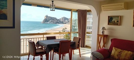 APARTAMENTO PRIMERA LINEA PLAYA  PONIENTE BENIDORM - ALICANTE