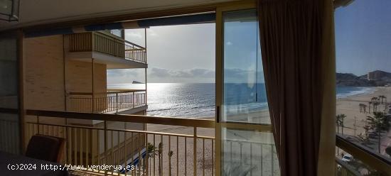 APARTAMENTO PRIMERA LINEA PLAYA  PONIENTE BENIDORM - ALICANTE