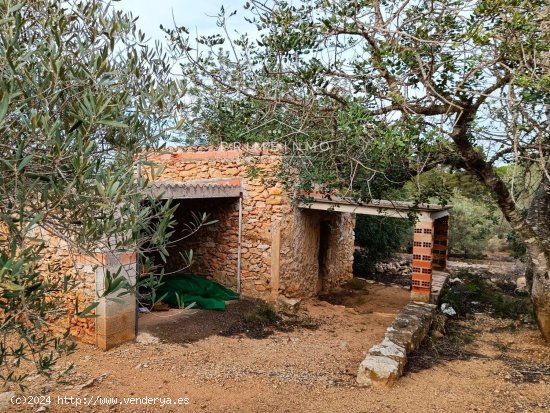 Finca en venta en L Ametlla de Mar (Tarragona)