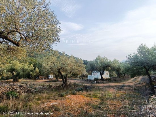 Finca en venta en Rasquera (Tarragona)