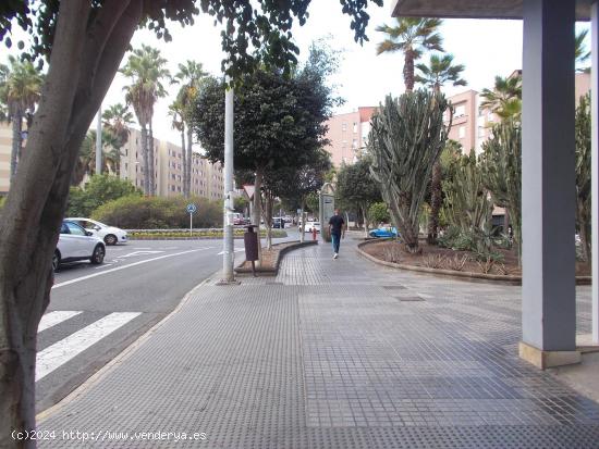 Se Vende en Las Palmas de Gran Canaria - LAS PALMAS