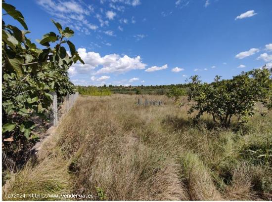 Finca rústica en la zona de Baiba, Buñol - VALENCIA