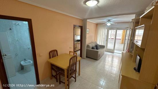 Ideal para Invertir! Apartamento en Planta Baja a 1 km de la Playa con Piscina  comunitaria. - ALICA