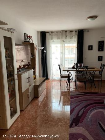  Se Vende en San Vicente del Raspeig - ALICANTE 