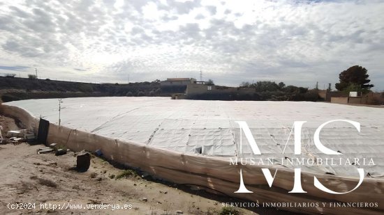 FINCA CON CASA E INVERNADERO EN PRODUCCIÓN - Pechina